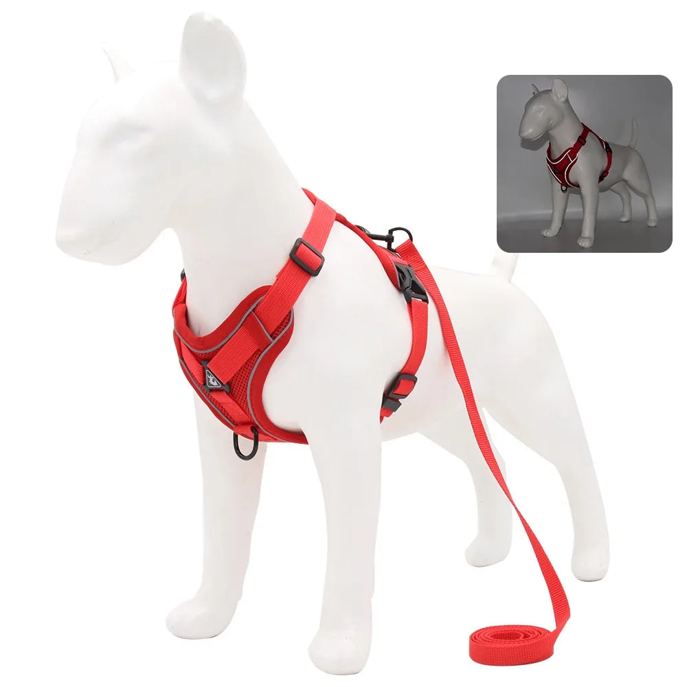 Comfortable Padded Dog Harness and Leash Set for Small & Medium Dogs