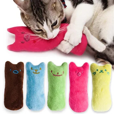 Interactive Catnip Plush Chew Toy & Teeth Grinding Kitten Toy