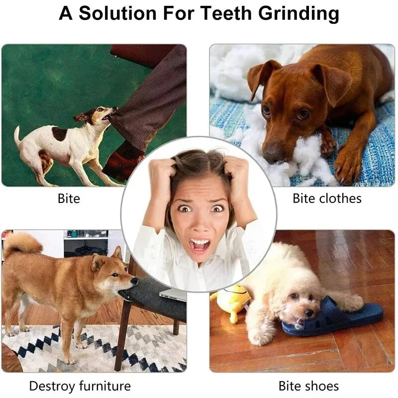 Bite-Resistant Dog Treat Dispenser & Tooth Cleaning Chew Ball