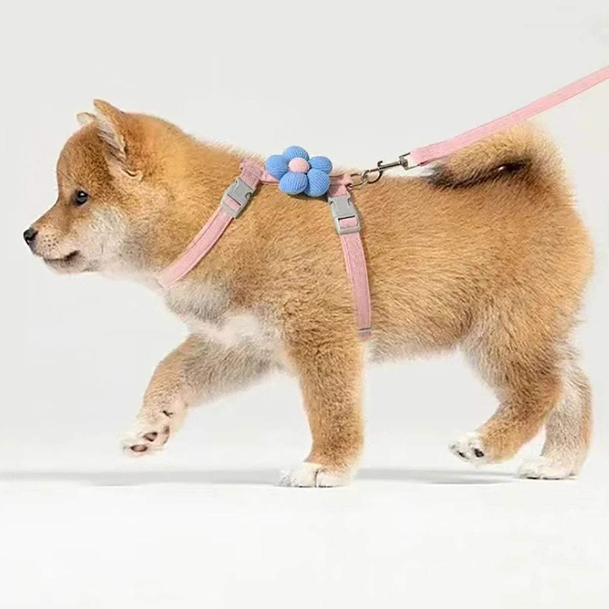 Breathable Mesh Cat Harness and Leash Set with Cute Straps