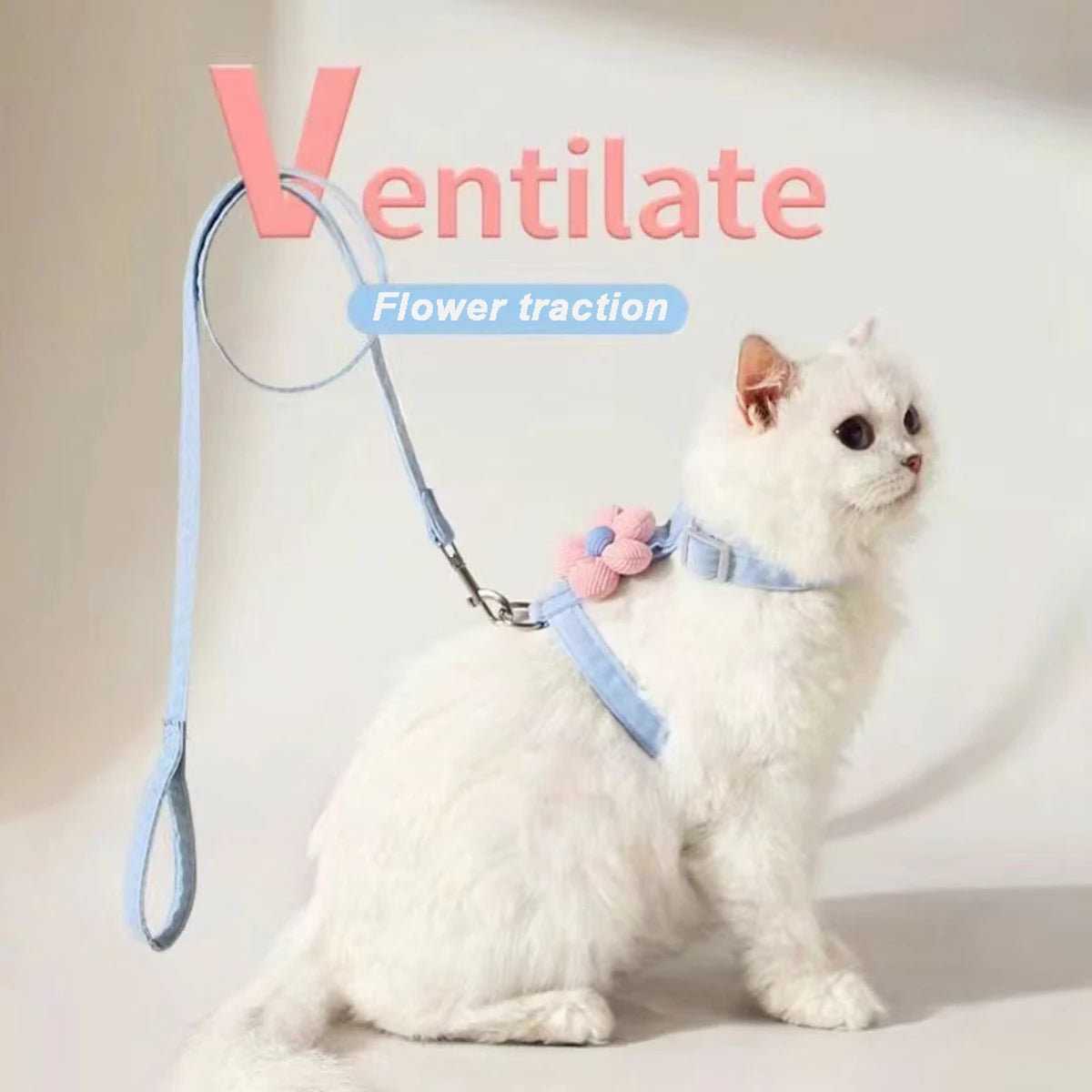 Breathable Mesh Cat Harness and Leash Set with Cute Straps