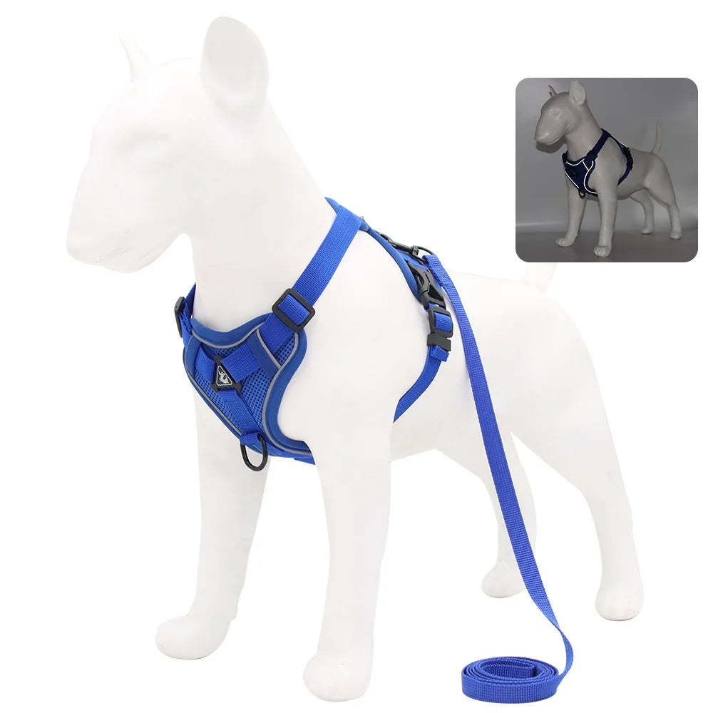 Comfortable Padded Dog Harness and Leash Set for Small & Medium Dogs