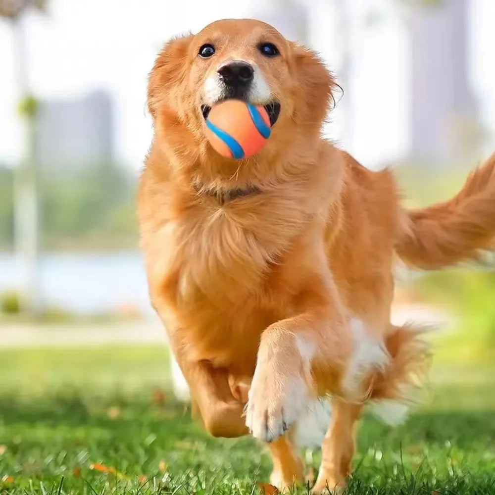 Tough Elastic Dog Fetch & Chew Ball for Interactive Play