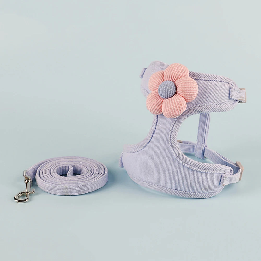 Breathable Mesh Cat Harness and Leash Set with Cute Straps