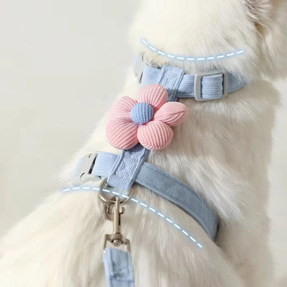 Breathable Mesh Cat Harness and Leash Set with Cute Straps