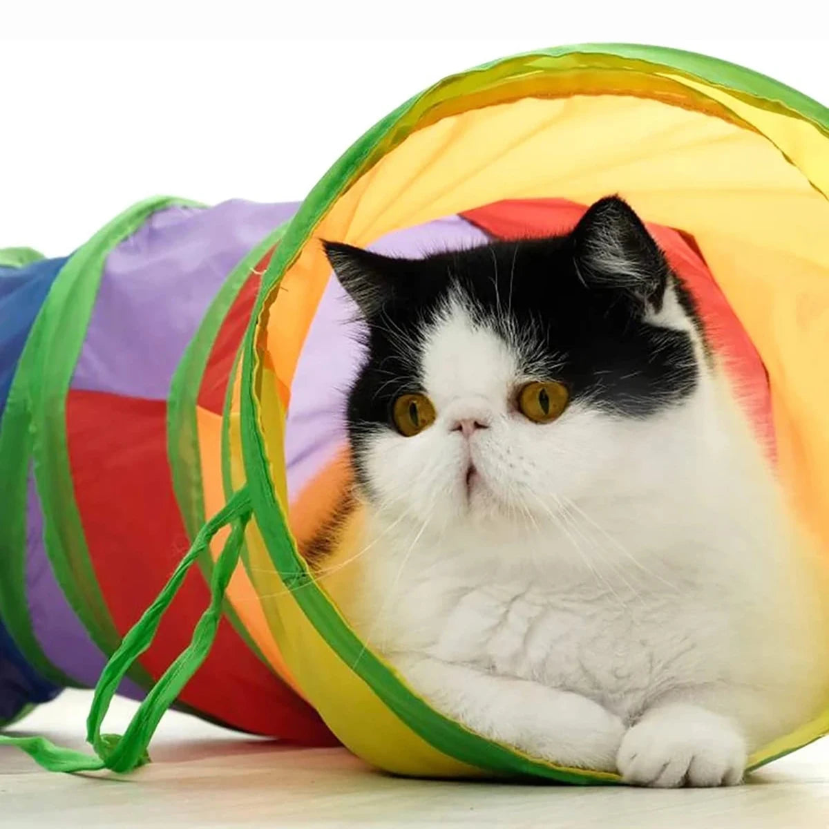 Foldable Interactive Cat Tunnel Tube Toy with Crinkle Play