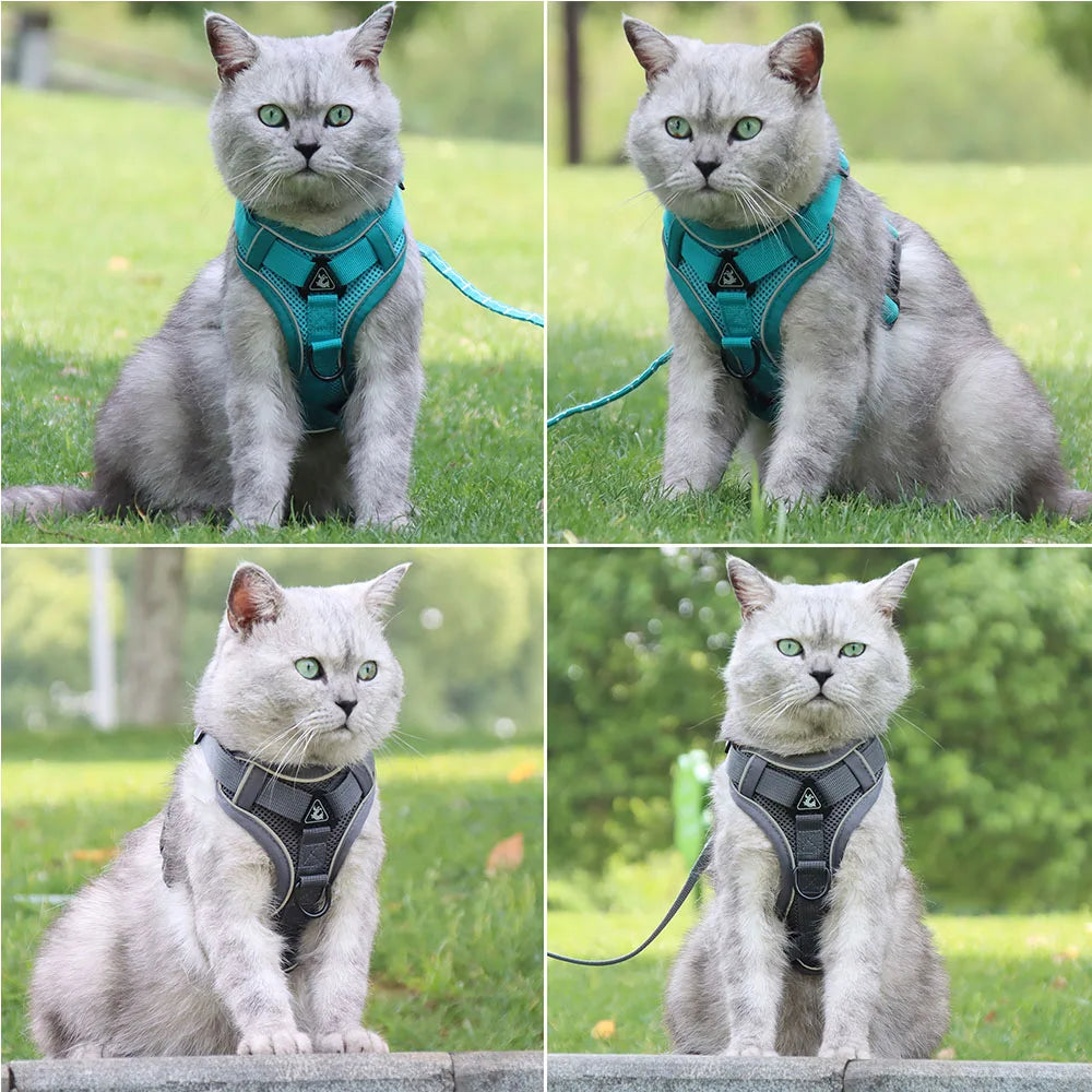 Comfortable Padded Dog Harness and Leash Set for Small & Medium Dogs