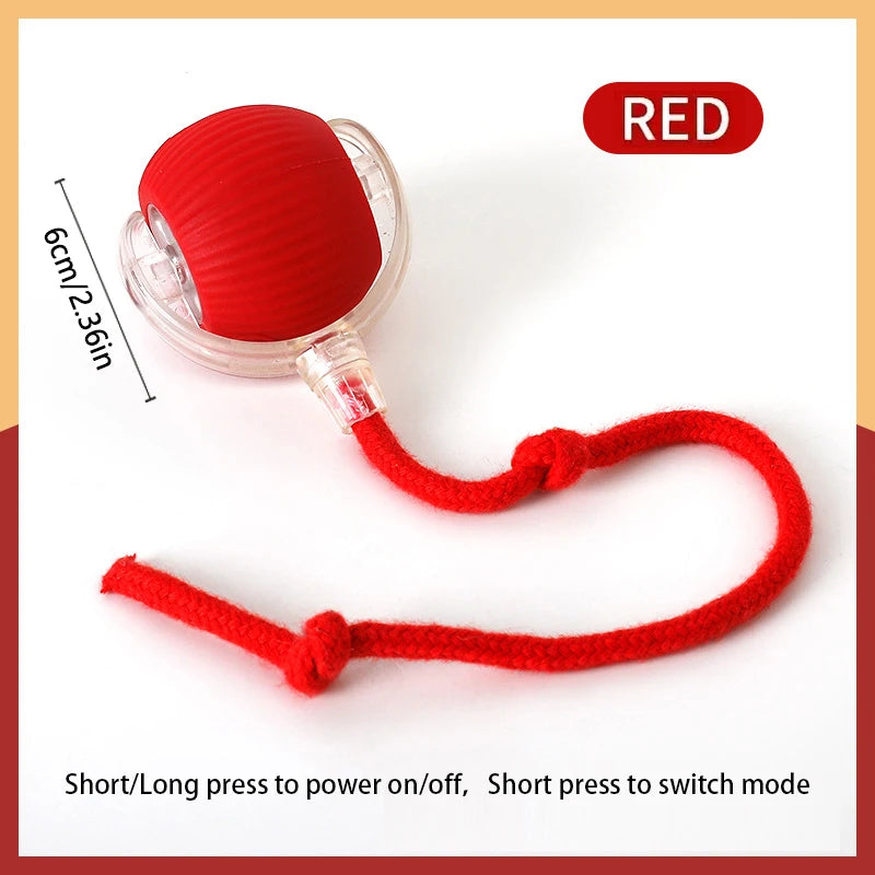 Smart Electronic Interactive Bouncing & Moving Dog & Cat Toy Ball