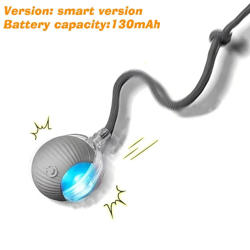 Automatic Rolling & Interactive Smart Dog Toy Ball with Tail & Sound