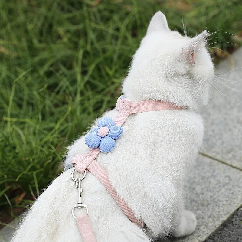 Breathable Mesh Cat Harness and Leash Set with Cute Straps