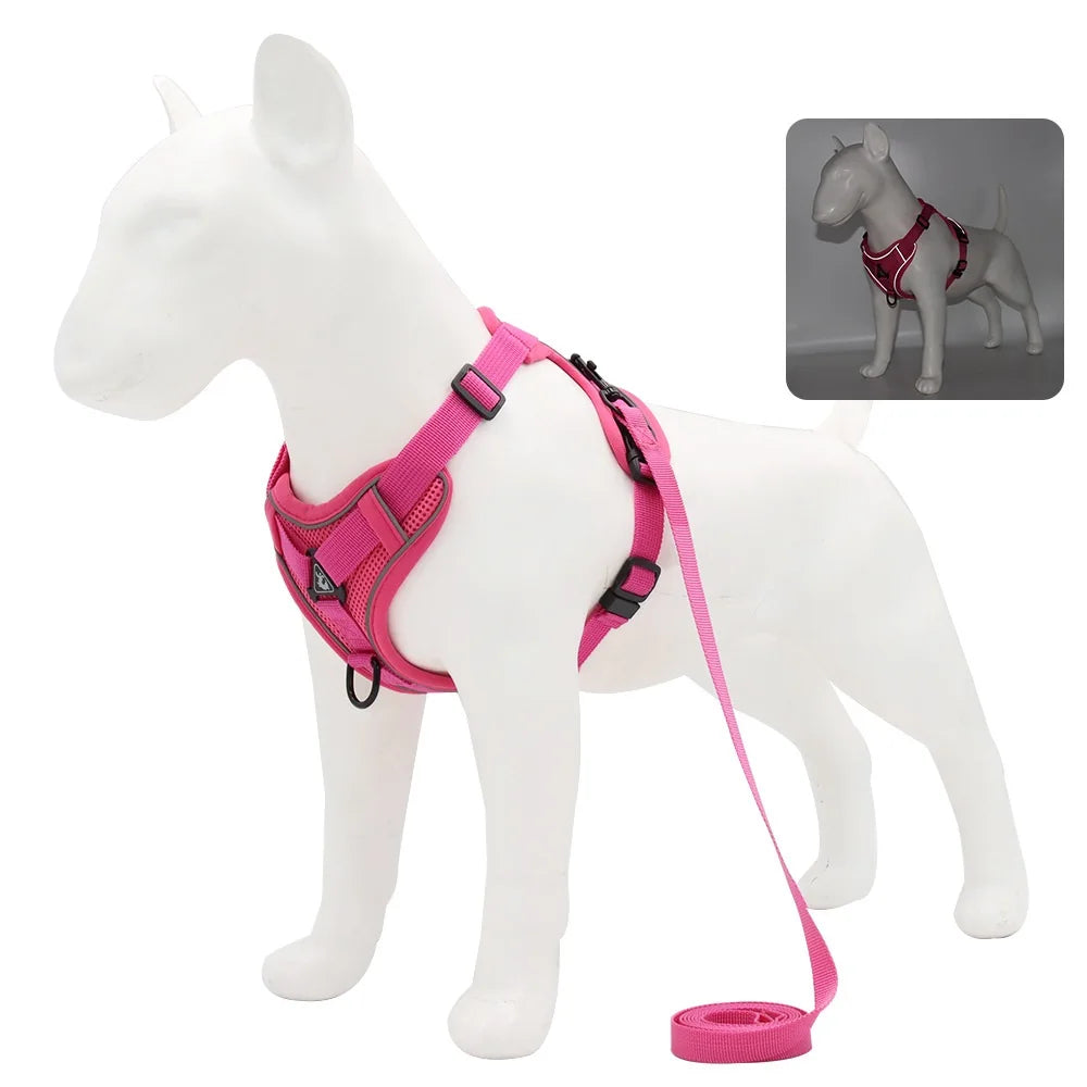 Comfortable Padded Dog Harness and Leash Set for Small & Medium Dogs