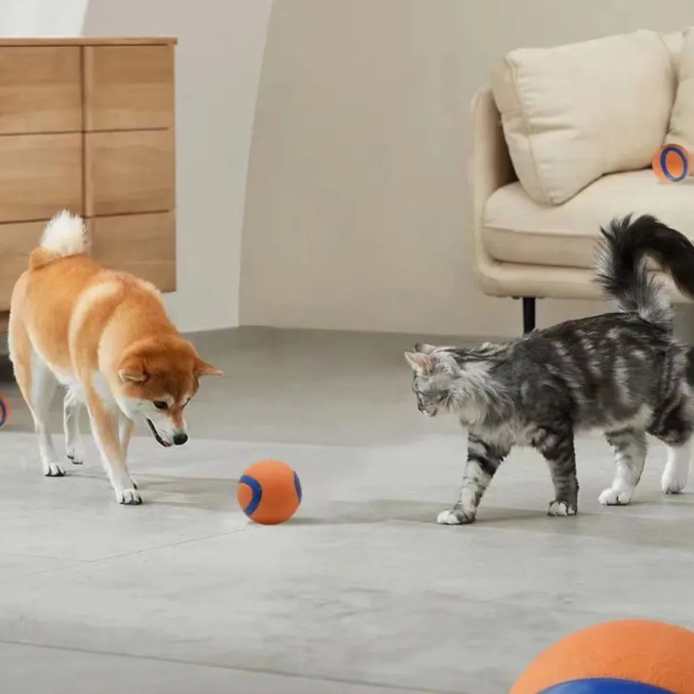 Tough Elastic Dog Fetch & Chew Ball for Interactive Play