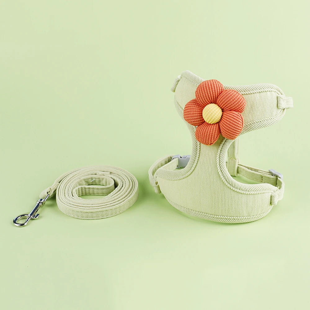 Breathable Mesh Cat Harness and Leash Set with Cute Straps