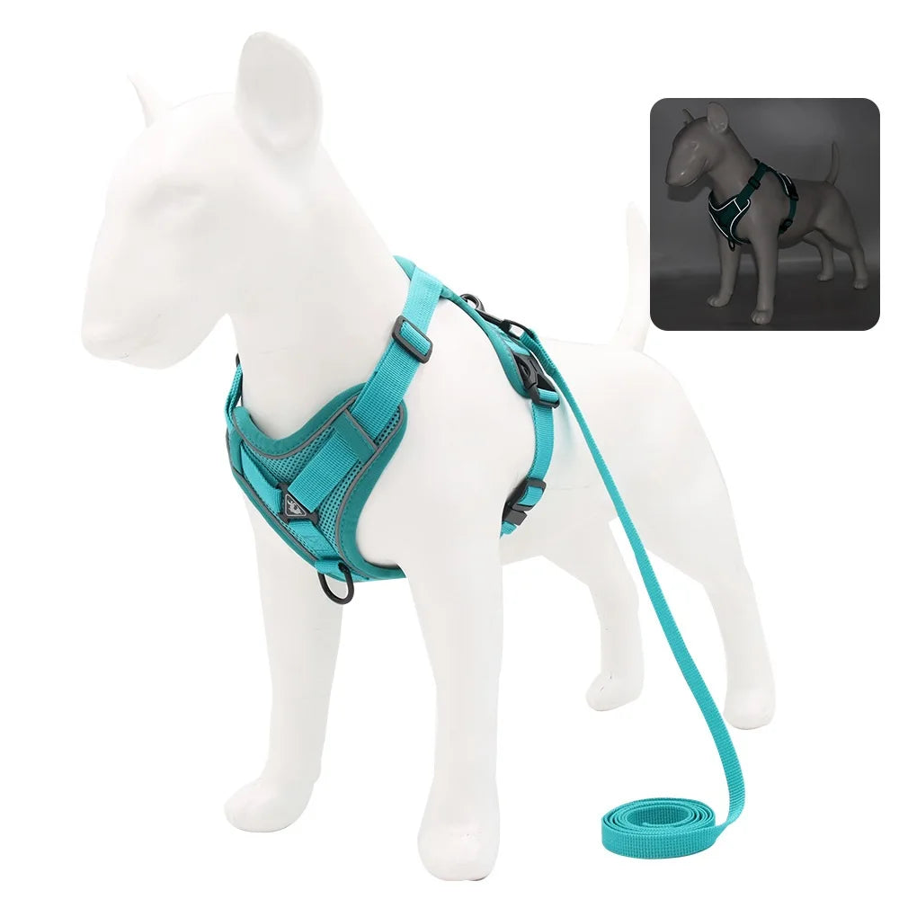 Comfortable Padded Dog Harness and Leash Set for Small & Medium Dogs