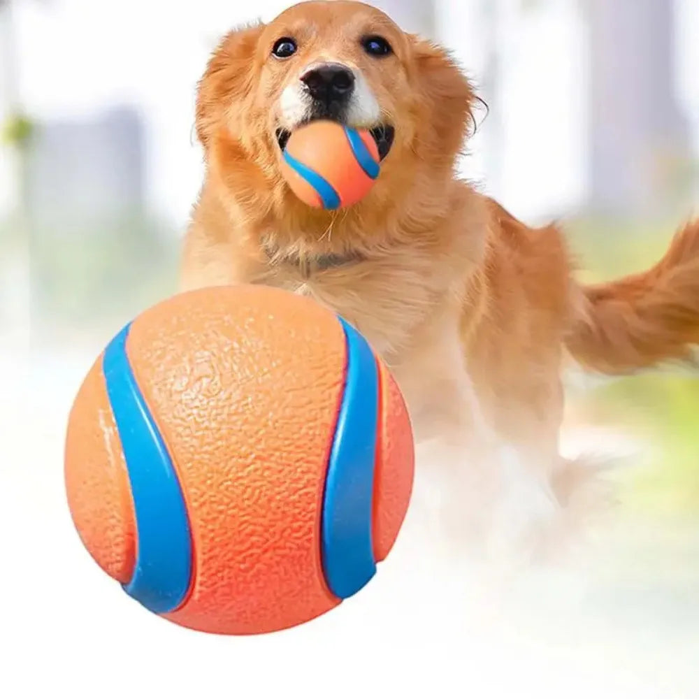 Tough Elastic Dog Fetch & Chew Ball for Interactive Play