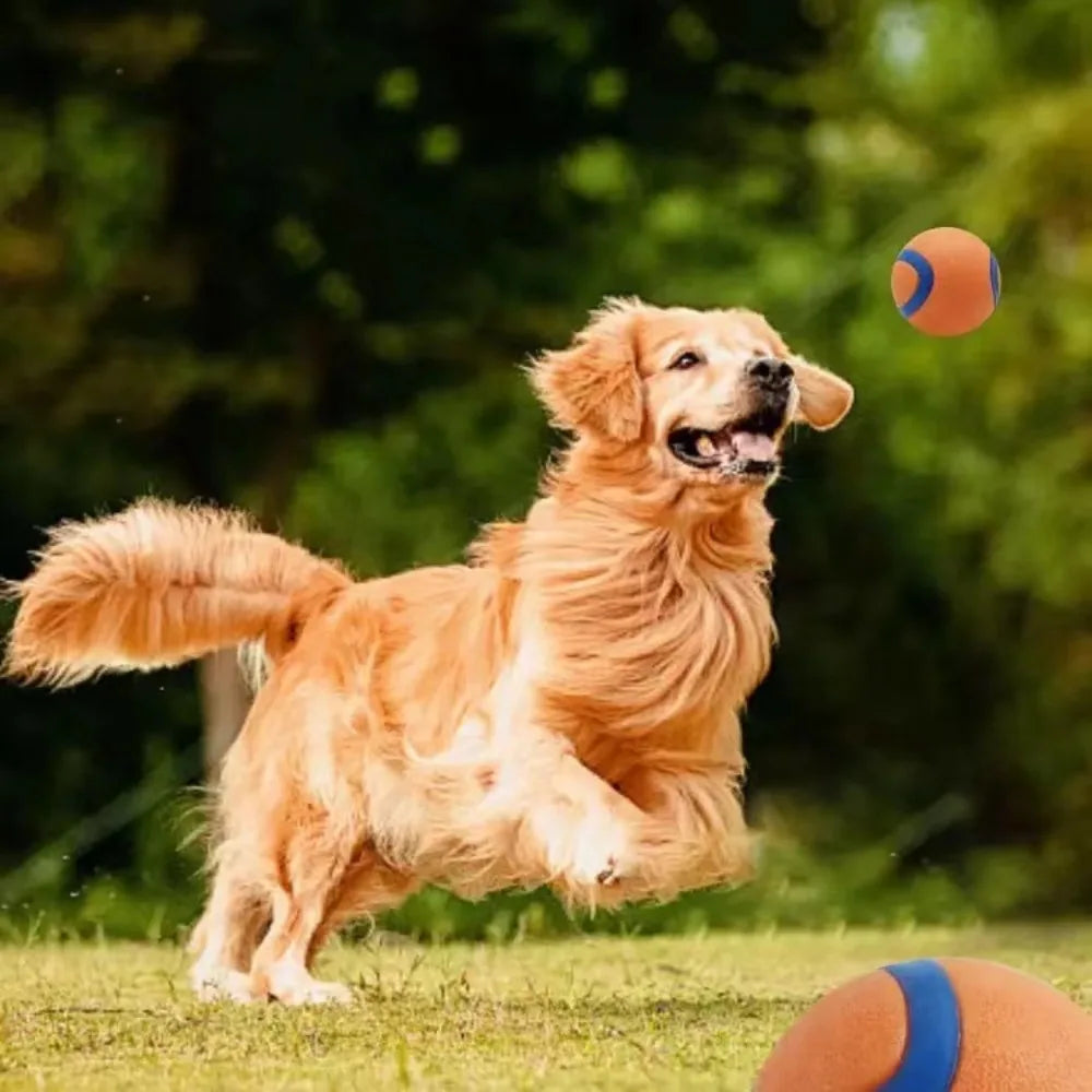 Tough Elastic Dog Fetch & Chew Ball for Interactive Play