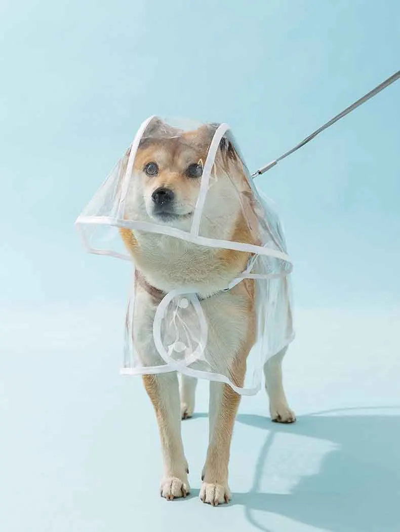 Hooded Waterproof Dog Raincoat with Transparent Brim