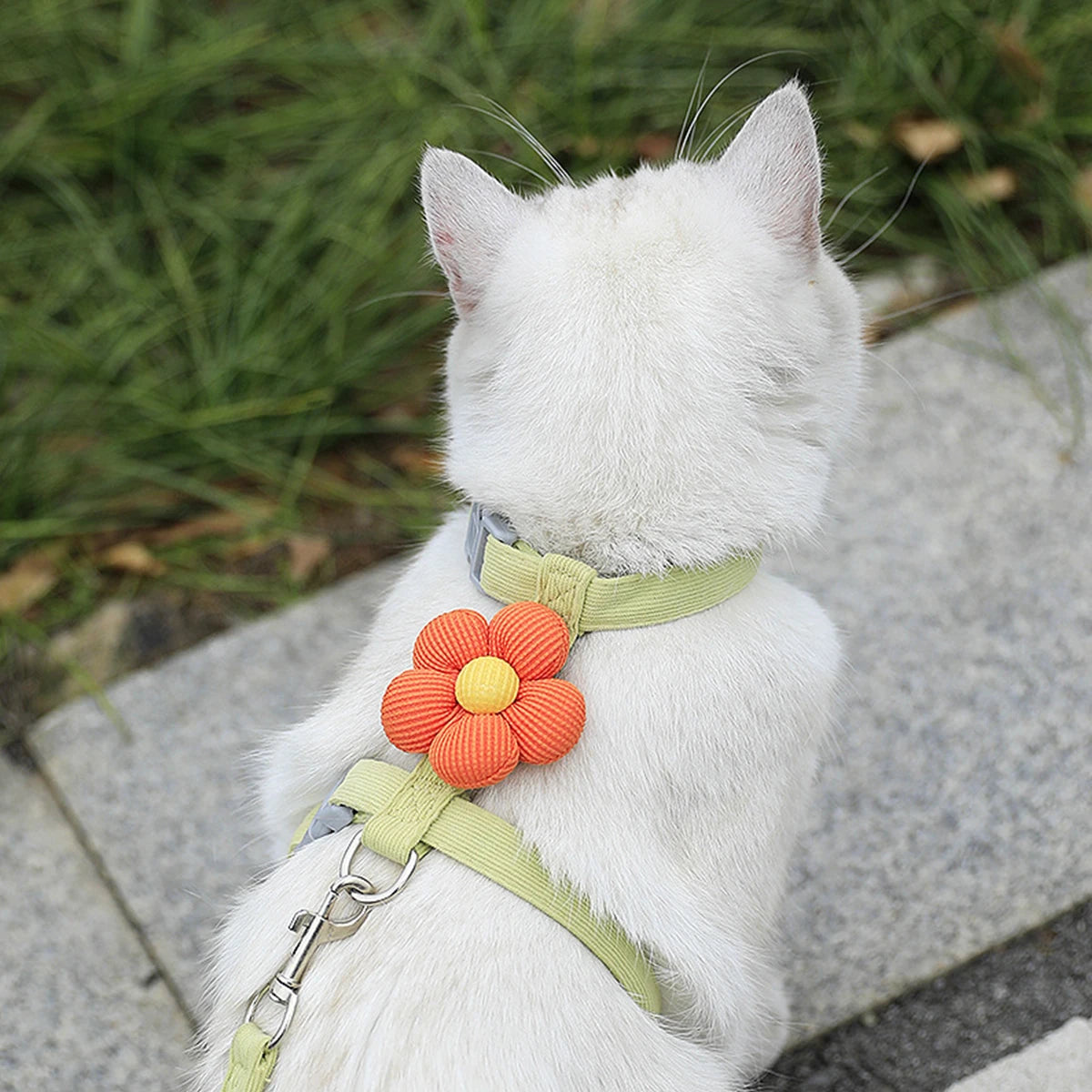 Breathable Mesh Cat Harness and Leash Set with Cute Straps