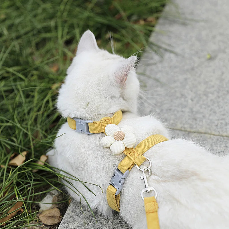 Breathable Mesh Cat Harness and Leash Set with Cute Straps