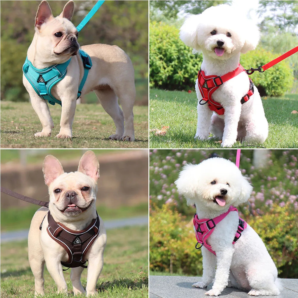 Comfortable Padded Dog Harness and Leash Set for Small & Medium Dogs