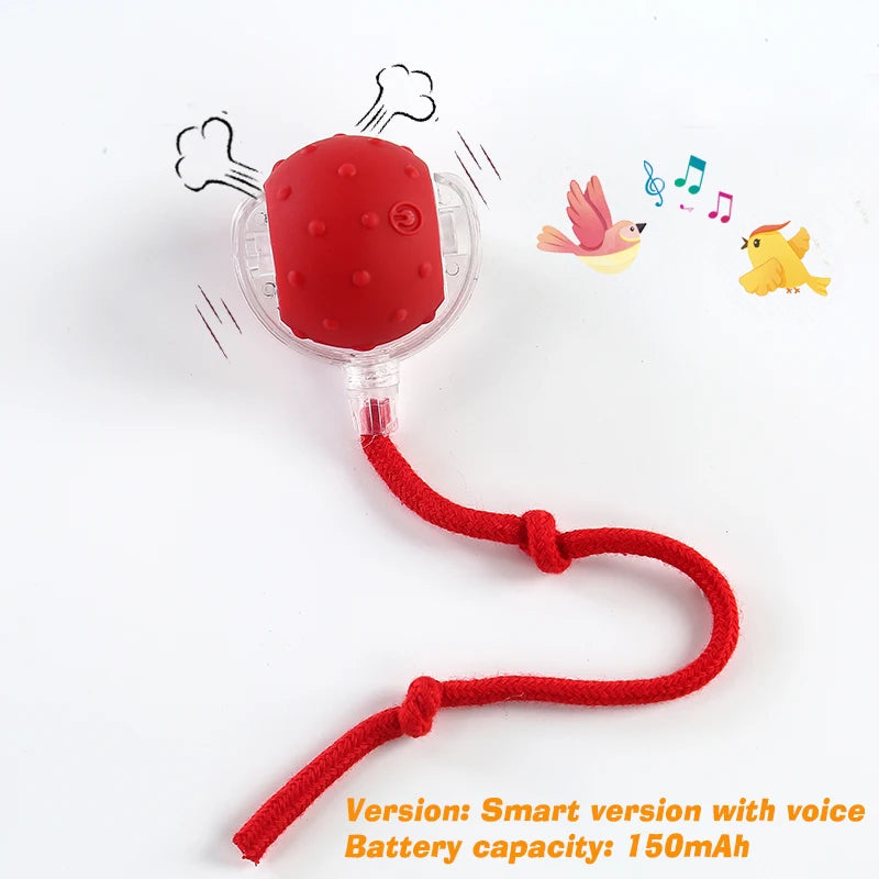 Automatic Rolling & Interactive Smart Dog Toy Ball with Tail & Sound