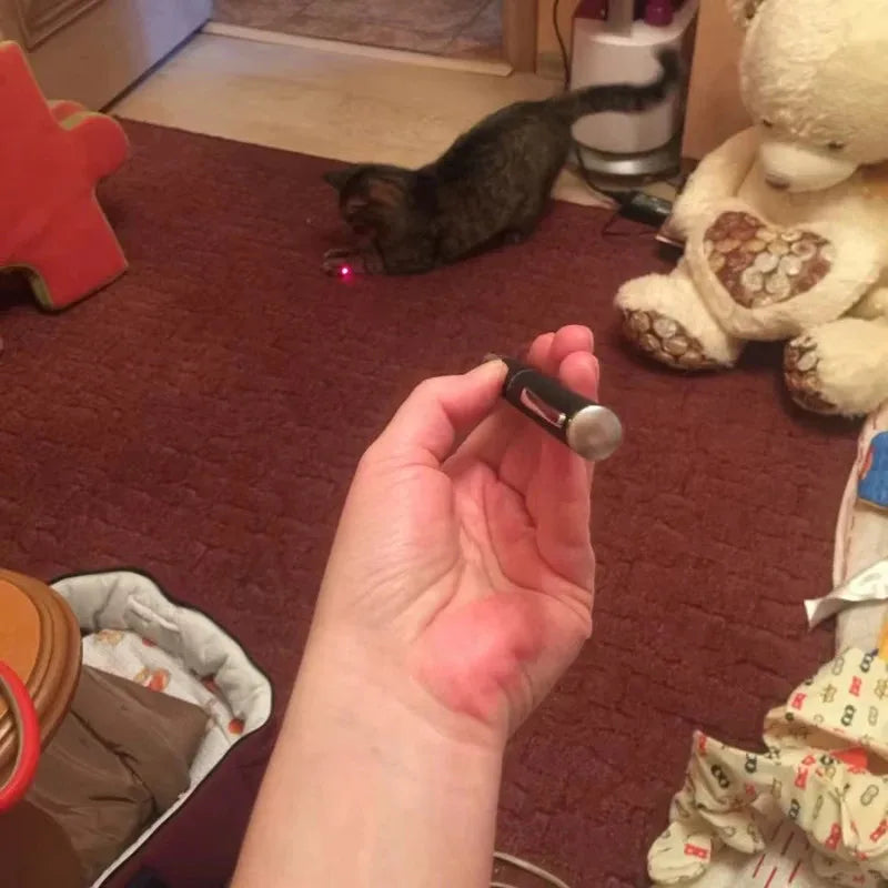 Interactive LED Laser Pointer & Flashlight Cat Toy Pen