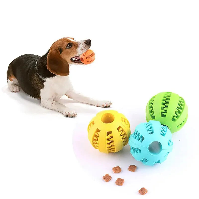 Bite-Resistant Dog Treat Dispenser & Tooth Cleaning Chew Ball