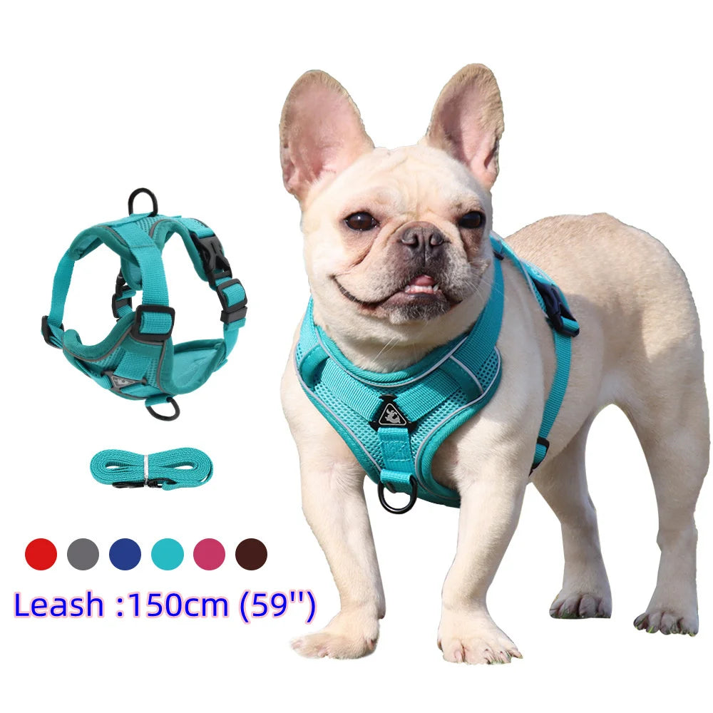 Comfortable Padded Dog Harness and Leash Set for Small & Medium Dogs