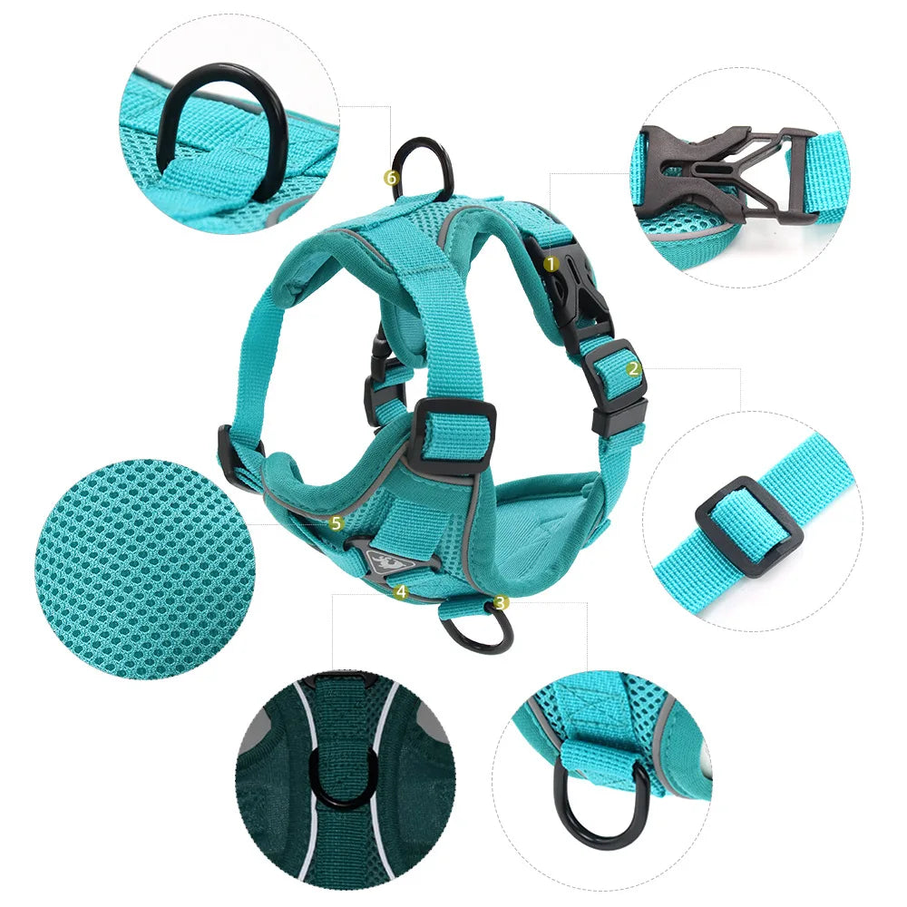 Comfortable Padded Dog Harness and Leash Set for Small & Medium Dogs