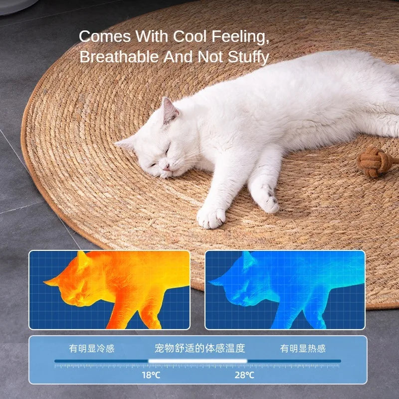 Rattan Cat Scratching Mat & Furniture Protector Pad