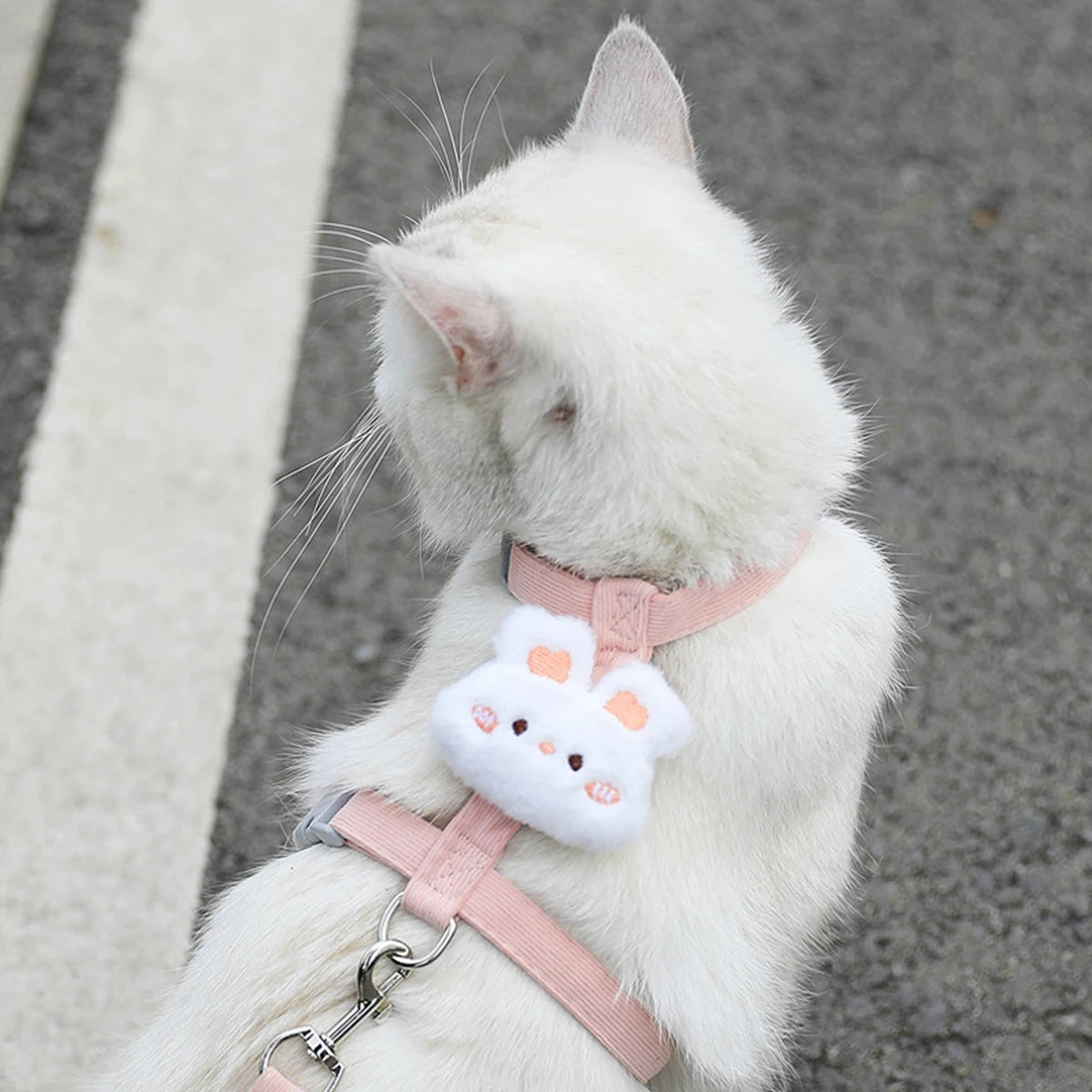 Breathable Mesh Cat Harness and Leash Set with Cute Straps