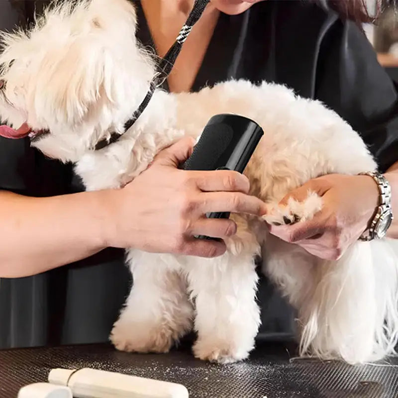 Ergonomic Professional Pet Grooming & Deshedding Brush