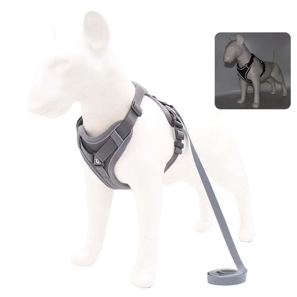 Comfortable Padded Dog Harness and Leash Set for Small & Medium Dogs