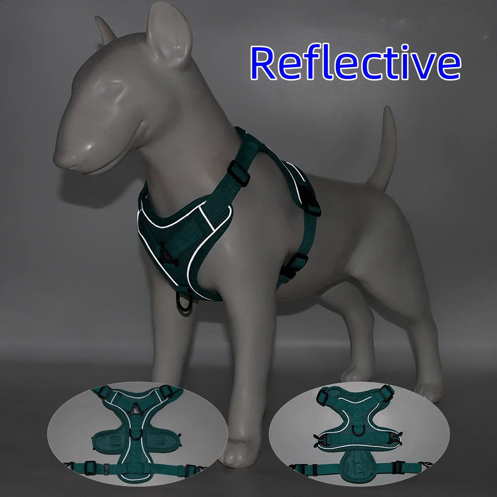 Comfortable Padded Dog Harness and Leash Set for Small & Medium Dogs