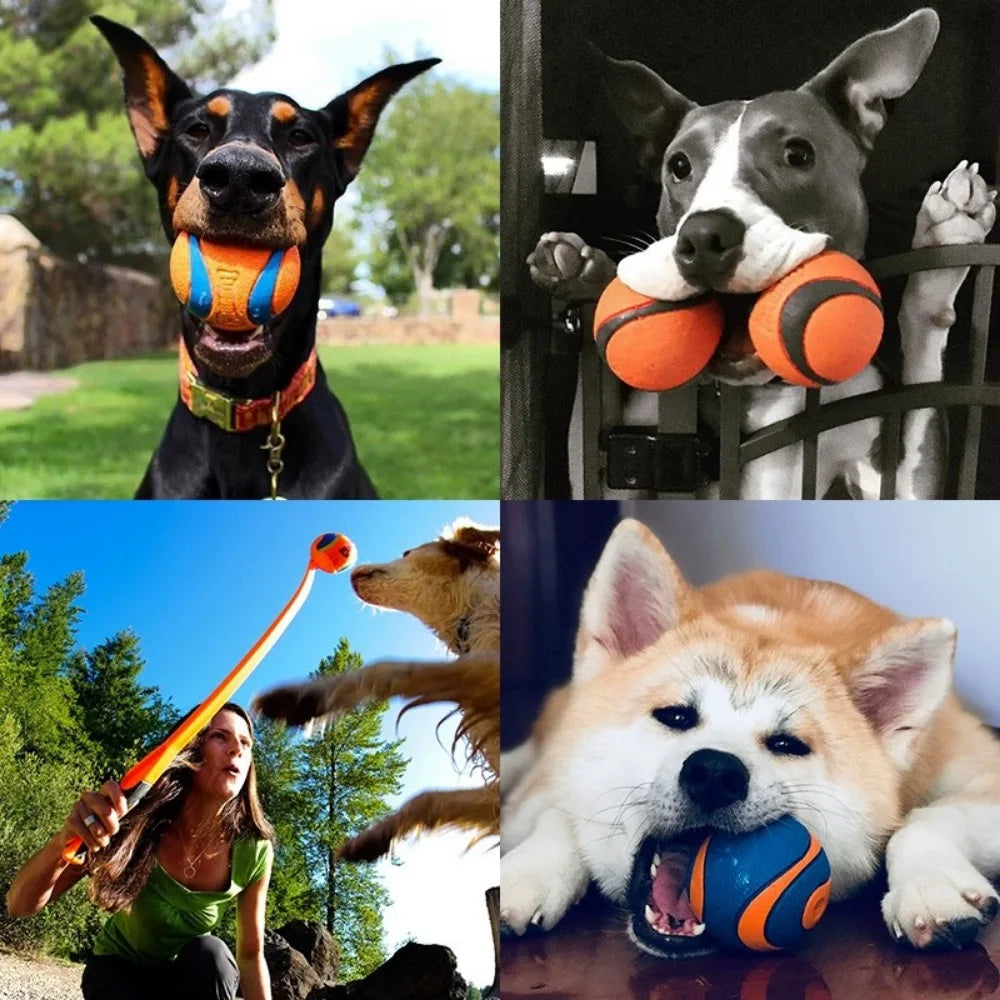 Tough Elastic Dog Fetch & Chew Ball for Interactive Play