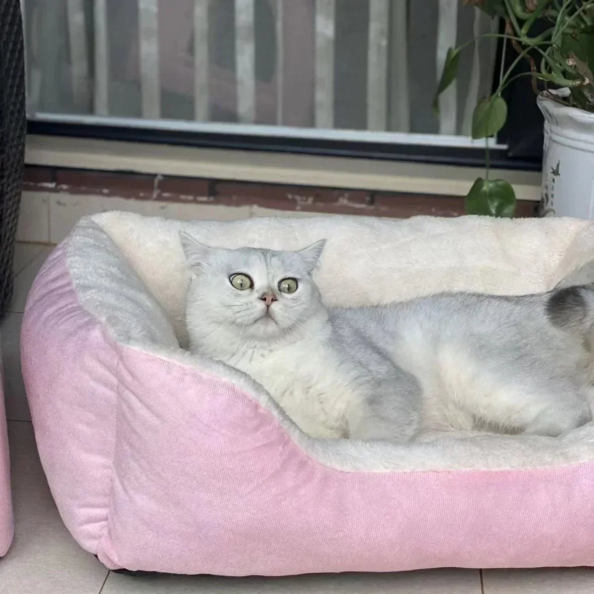 Plush Oval Cat & Small Dog Cuddler Bed