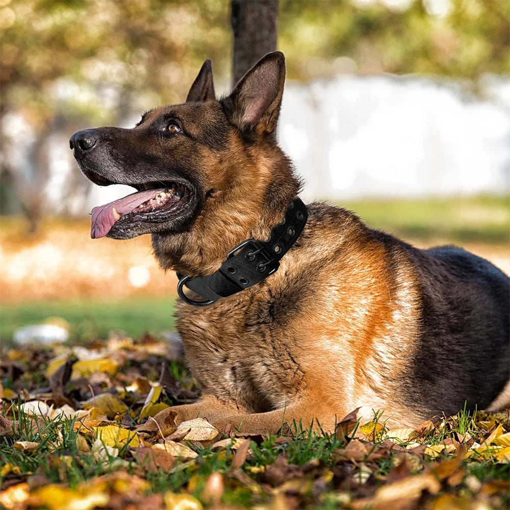 Durable Military Nylon Tactical Dog Collar for Medium & Large Dogs