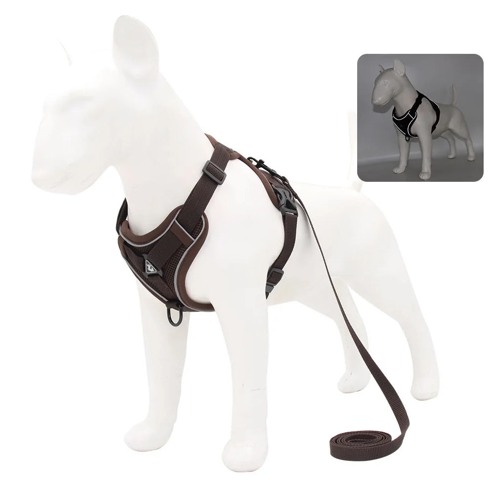 Comfortable Padded Dog Harness and Leash Set for Small & Medium Dogs