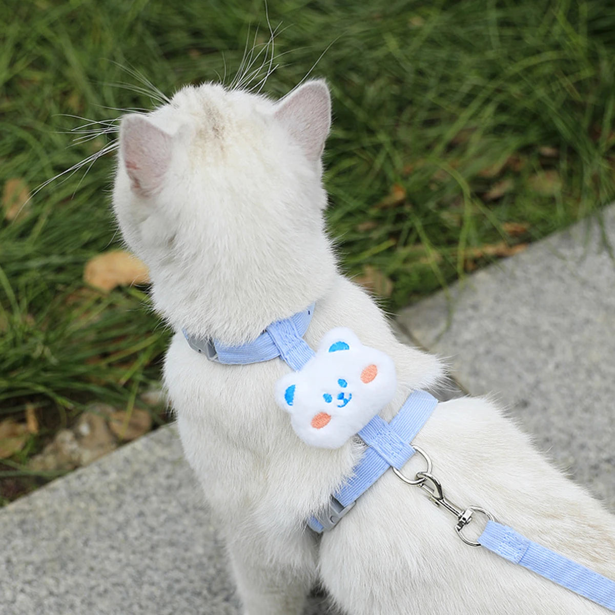Breathable Mesh Cat Harness and Leash Set with Cute Straps