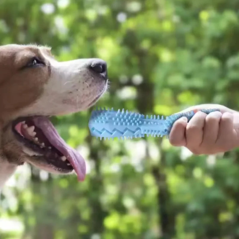 Bite-Resistant Dog Teething Chew Stick & Treat Dispenser Toy