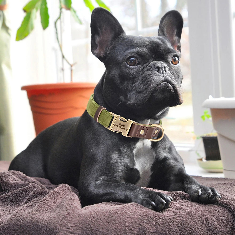Custom Engraved PU Leather Dog Collar with Personalised ID Plate