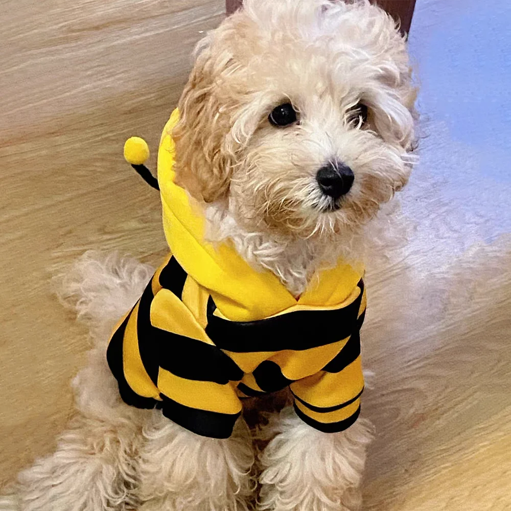 Cute Bumblebee Dog & Cat Hooded Costume & Winter Fleece Apparel