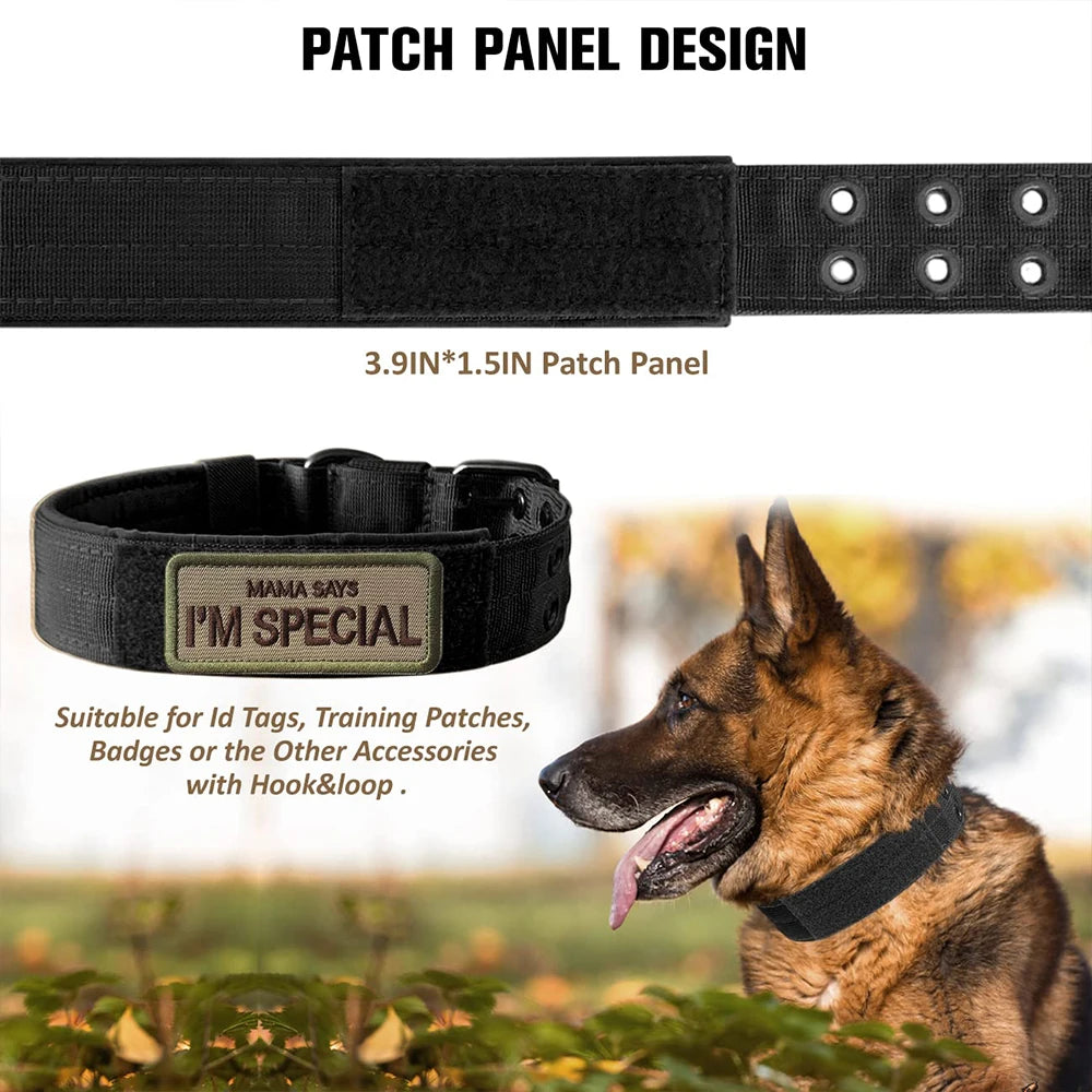 Durable Military Nylon Tactical Dog Collar for Medium & Large Dogs