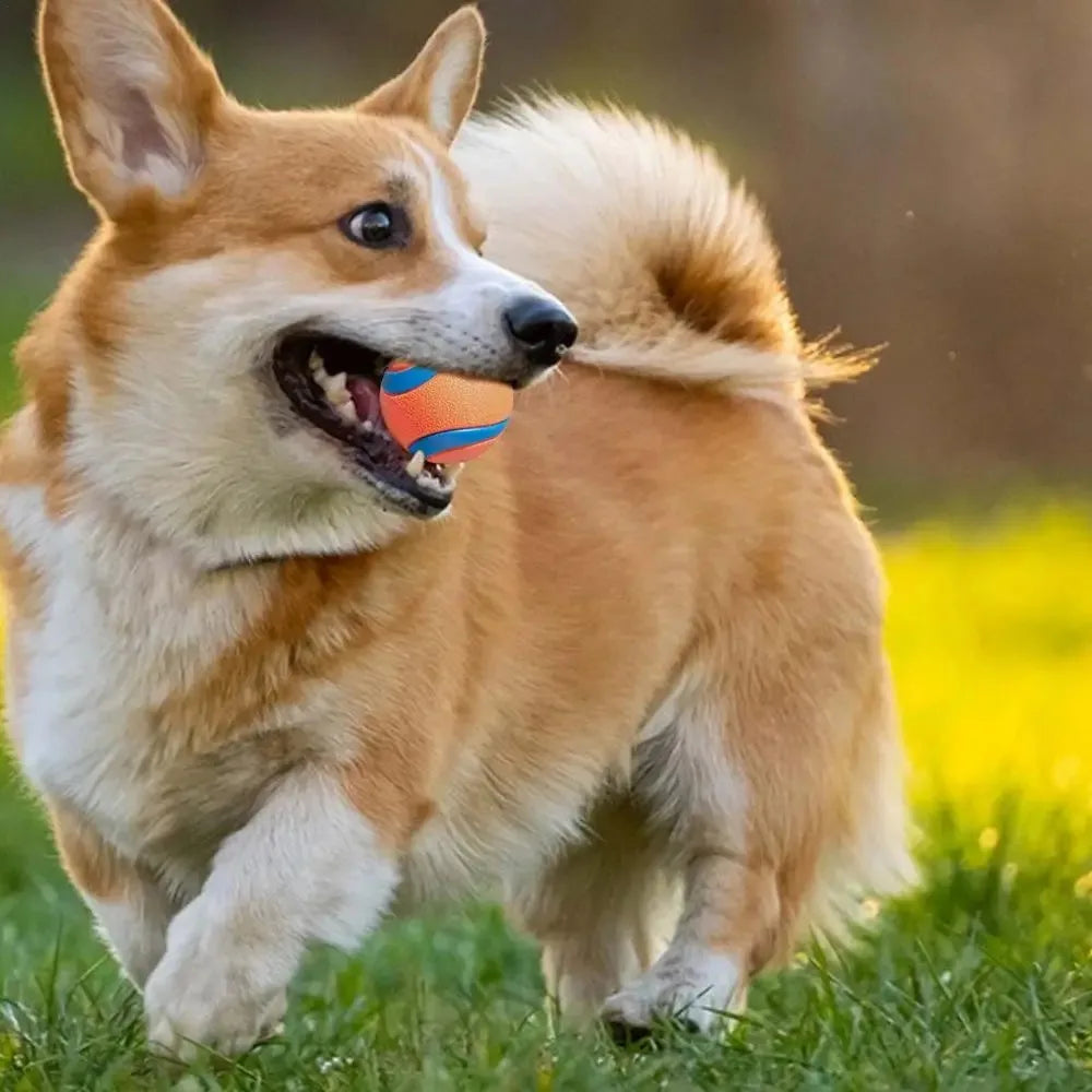 Tough Elastic Dog Fetch & Chew Ball for Interactive Play