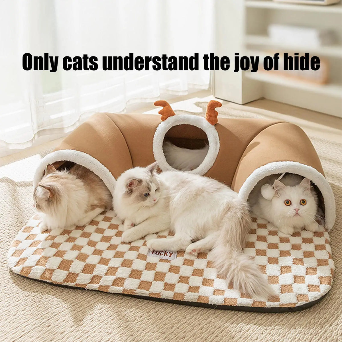 2-in-1 Interactive Cat Tunnel Bed & Warm Resting Mat